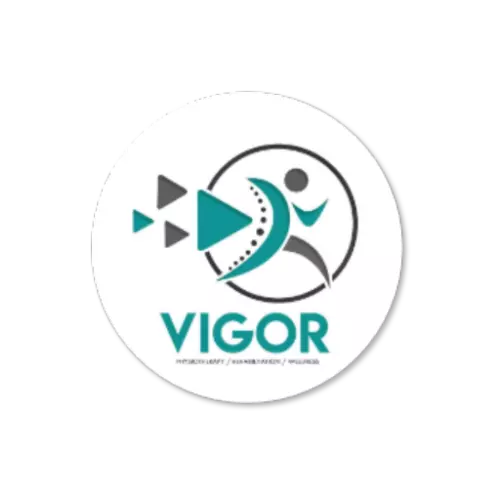 vigor-500x500-1.1